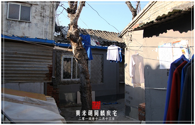 查看更多精彩图片