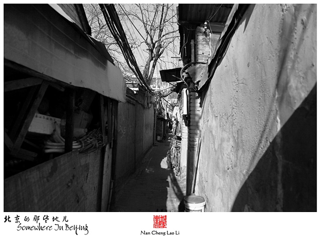 查看更多精彩图片