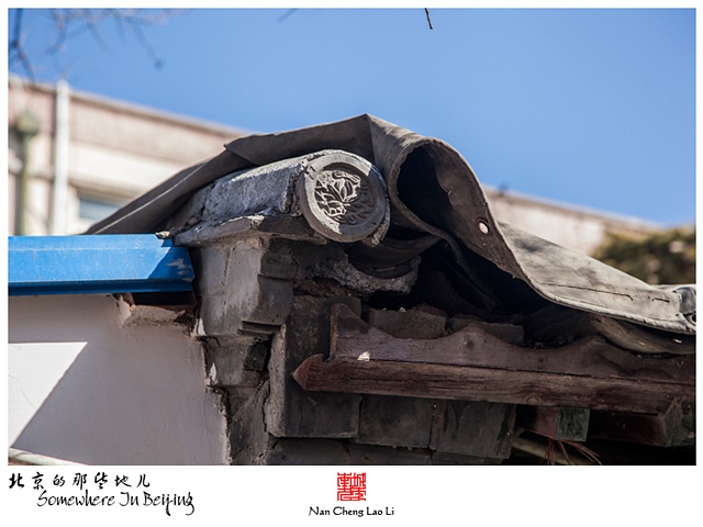 查看更多精彩图片