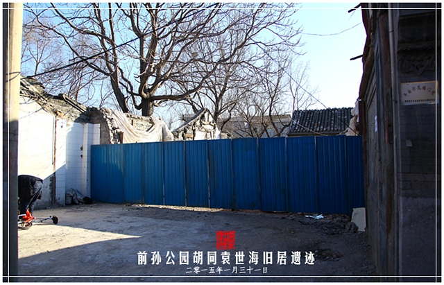 查看更多精彩图片