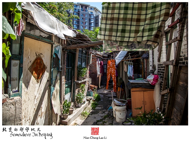 查看更多精彩图片