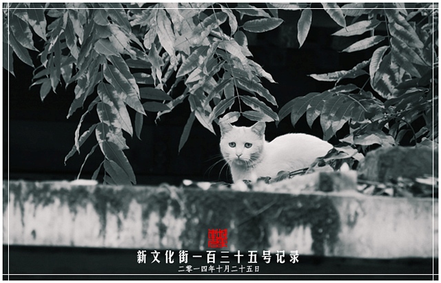 查看更多精彩图片