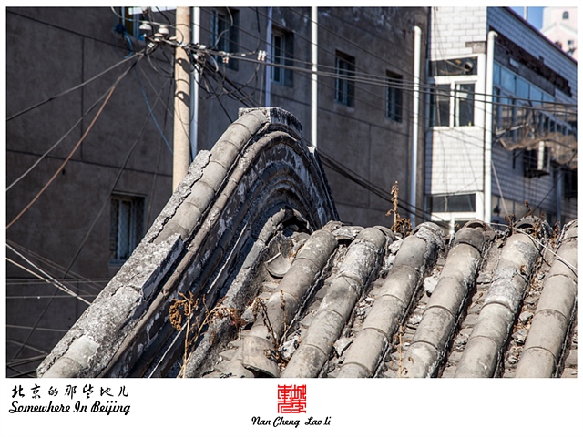 查看更多精彩图片