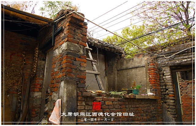 查看更多精彩图片