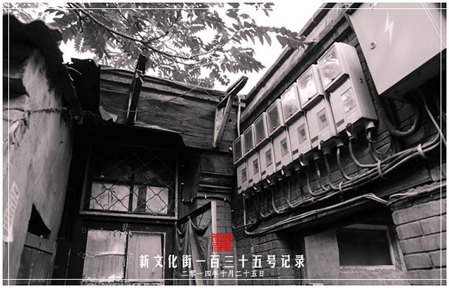 查看更多精彩图片