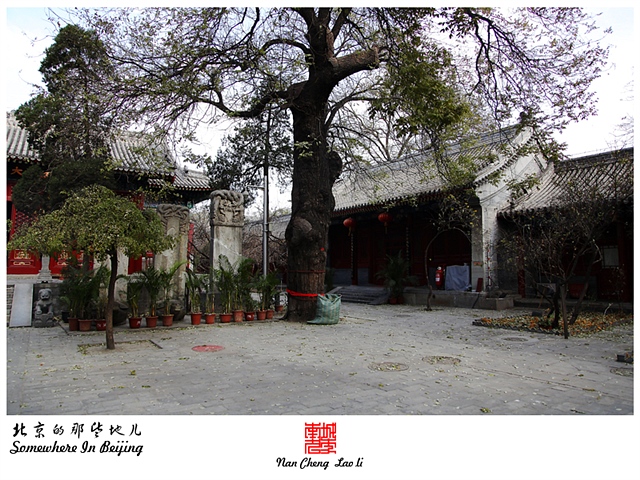 查看更多精彩图片