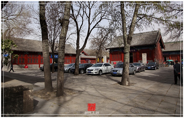 查看更多精彩图片