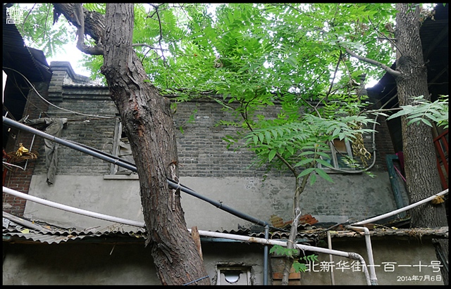 查看更多精彩图片