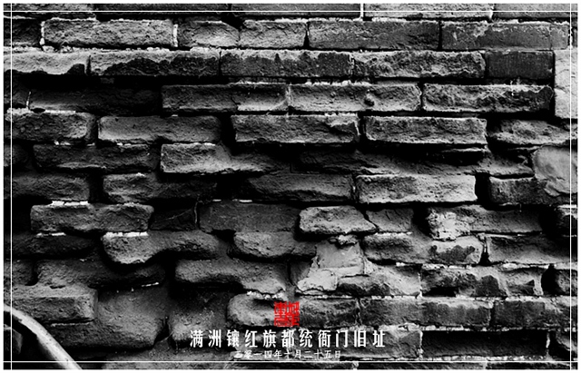 查看更多精彩图片