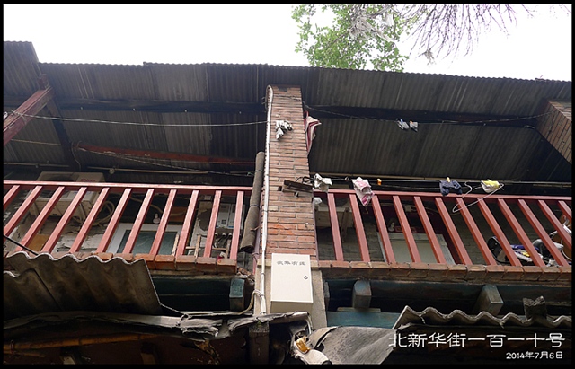 查看更多精彩图片