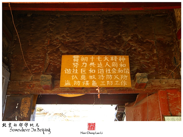 查看更多精彩图片