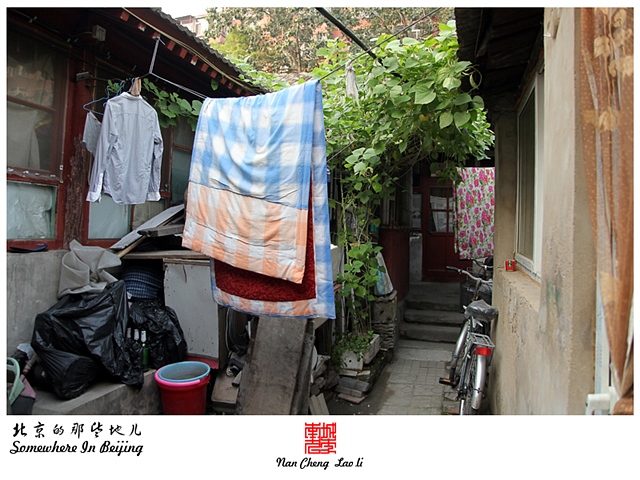 查看更多精彩图片