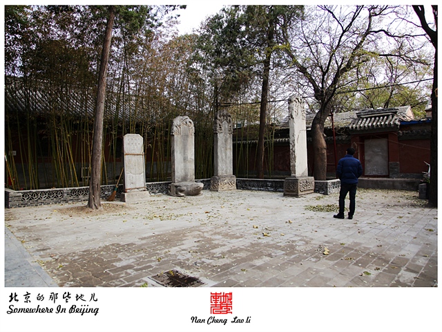 查看更多精彩图片