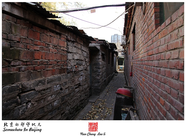 查看更多精彩图片