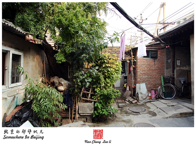 查看更多精彩图片