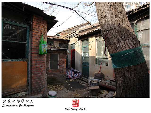 查看更多精彩图片