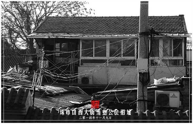查看更多精彩图片