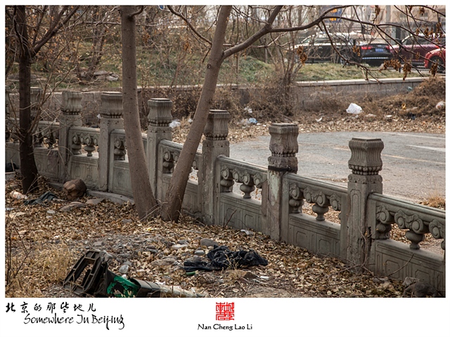 查看更多精彩图片