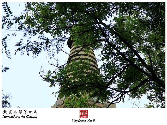 查看更多精彩图片