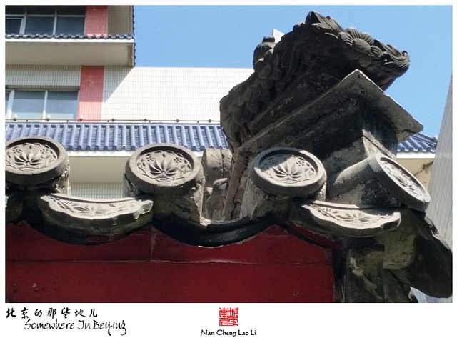 查看更多精彩图片