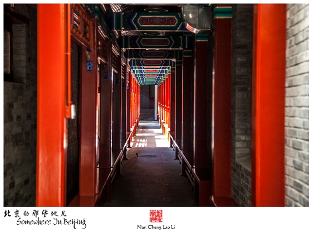 查看更多精彩图片