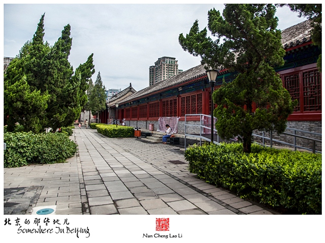 查看更多精彩图片