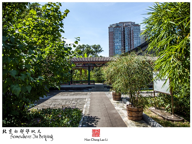 查看更多精彩图片