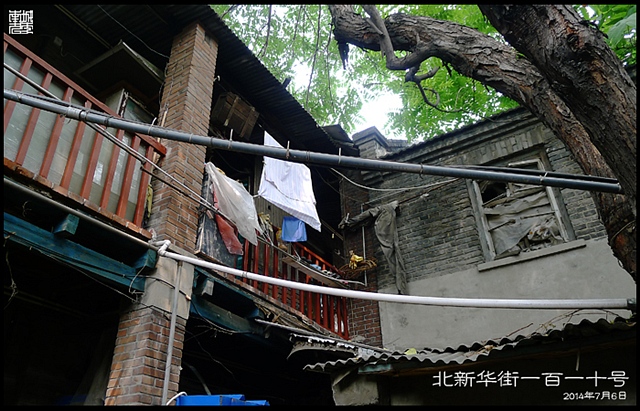 查看更多精彩图片