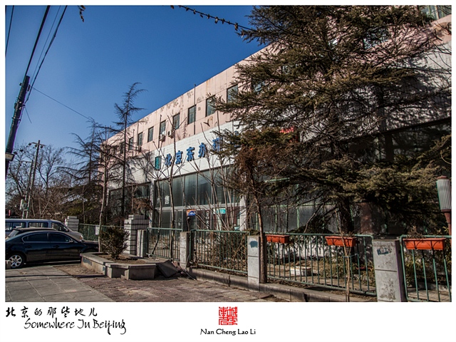 查看更多精彩图片