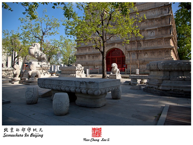 查看更多精彩图片