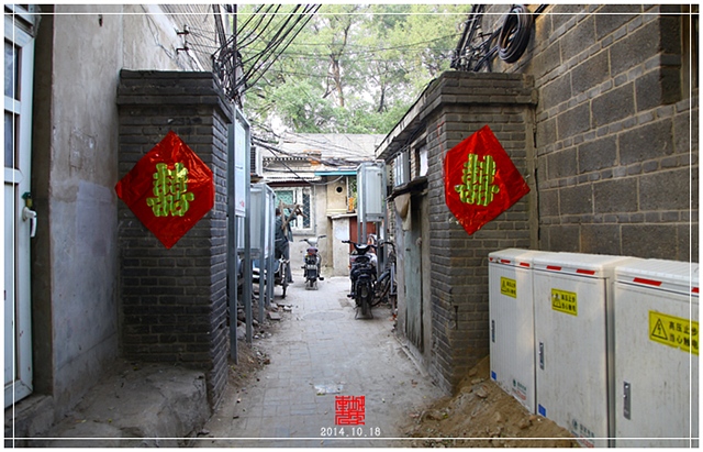 查看更多精彩图片