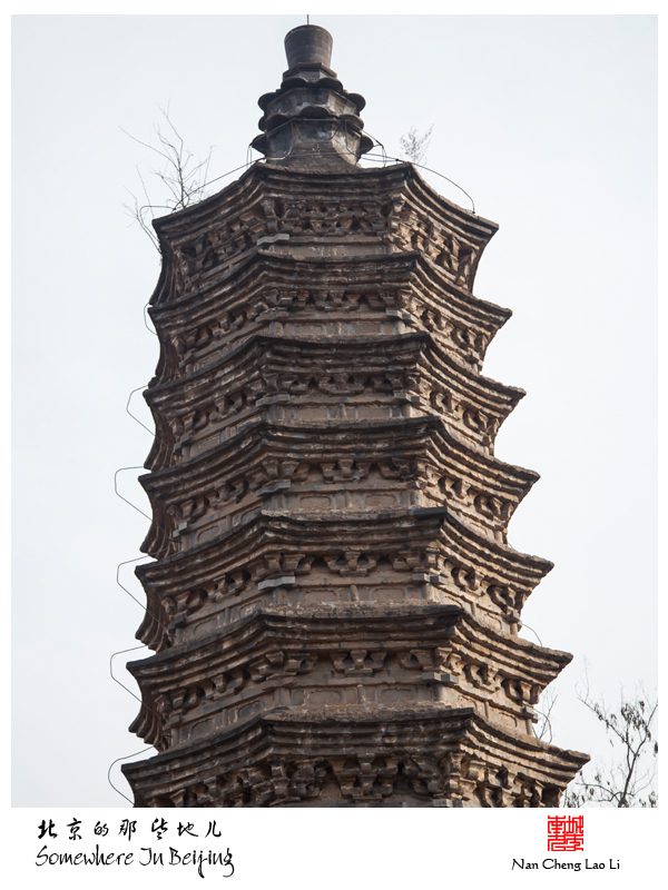 查看更多精彩图片