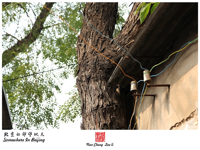 查看更多精彩图片