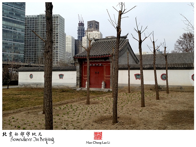 查看更多精彩图片