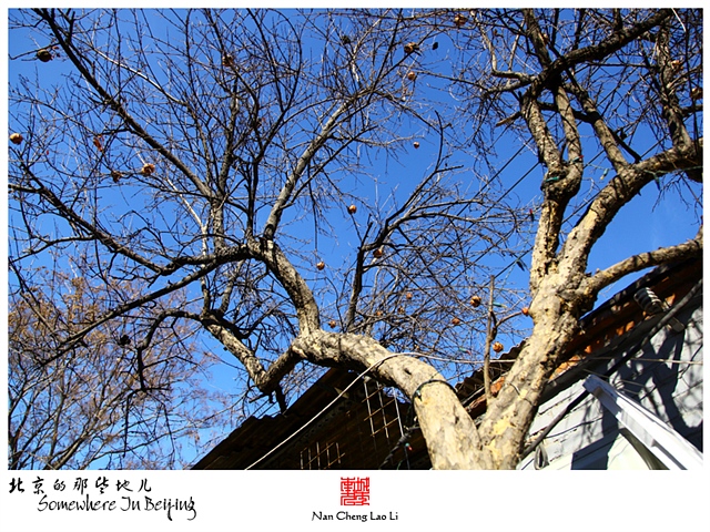 查看更多精彩图片