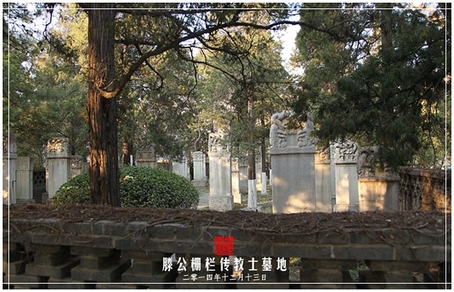 查看更多精彩图片