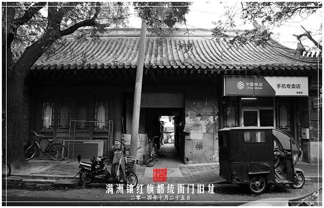 查看更多精彩图片