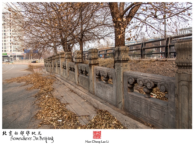 查看更多精彩图片