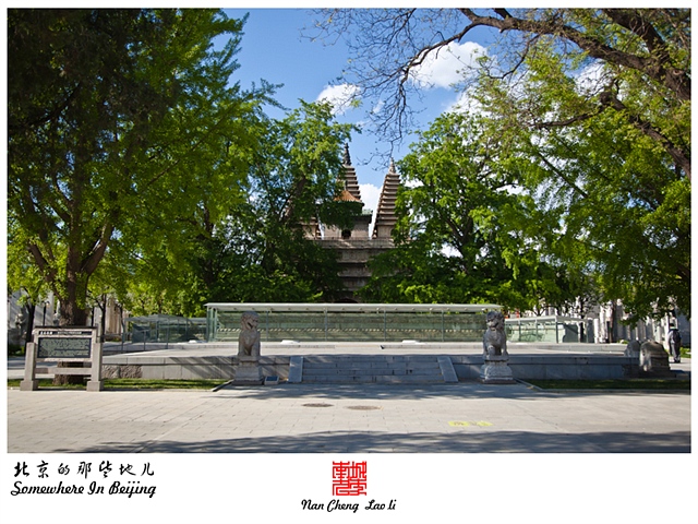 查看更多精彩图片