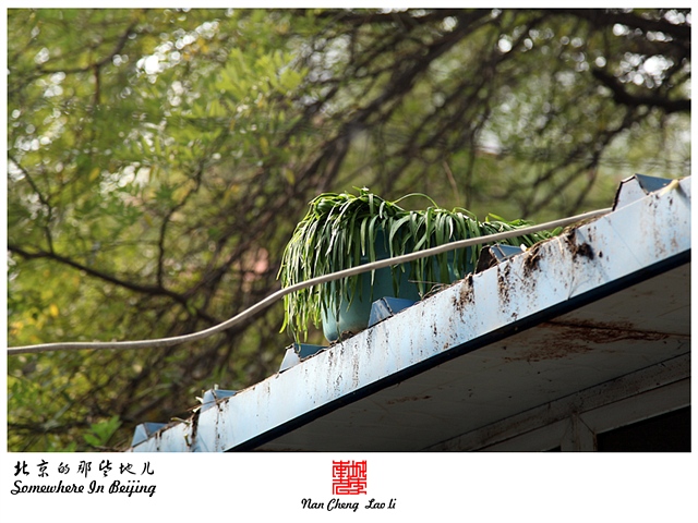 查看更多精彩图片