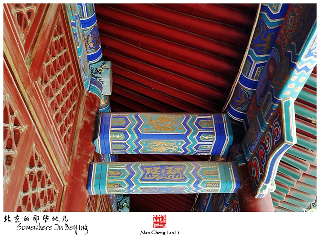 查看更多精彩图片