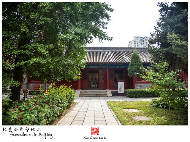 查看更多精彩图片