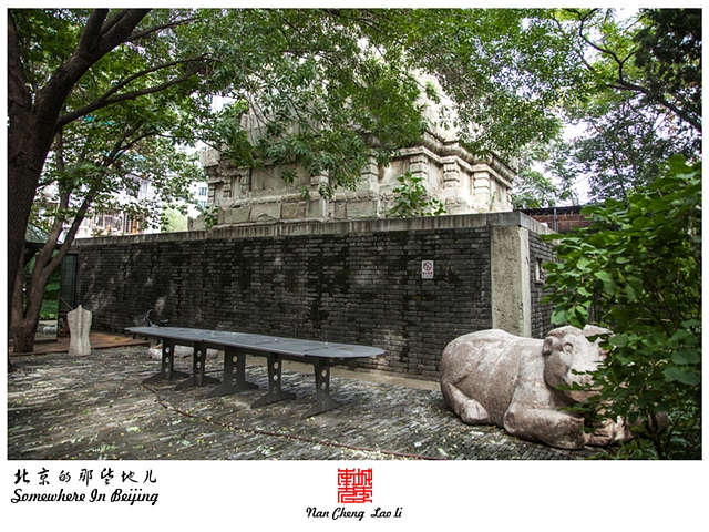 查看更多精彩图片