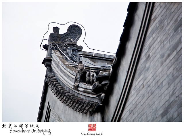 查看更多精彩图片