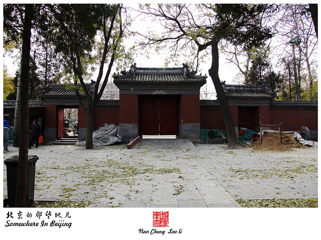 查看更多精彩图片