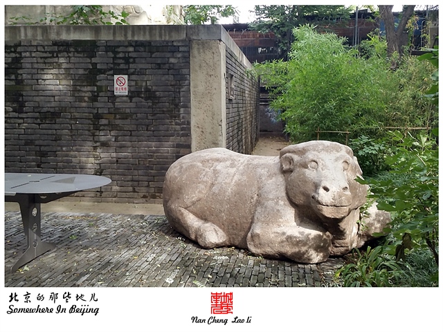 查看更多精彩图片