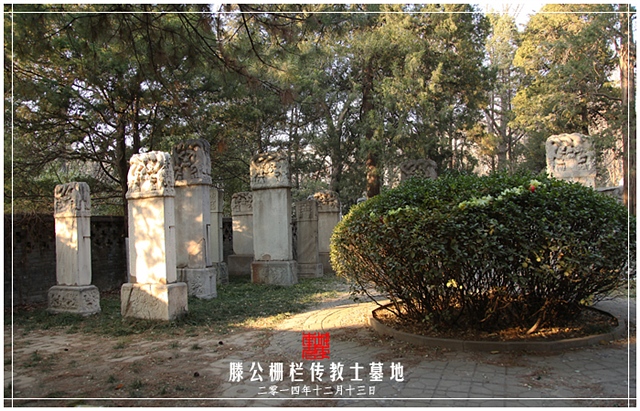 查看更多精彩图片