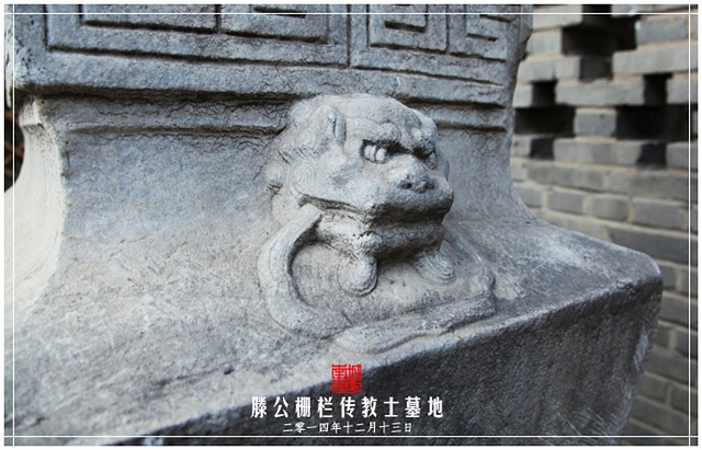 查看更多精彩图片
