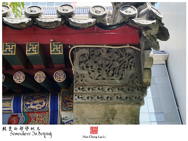 查看更多精彩图片