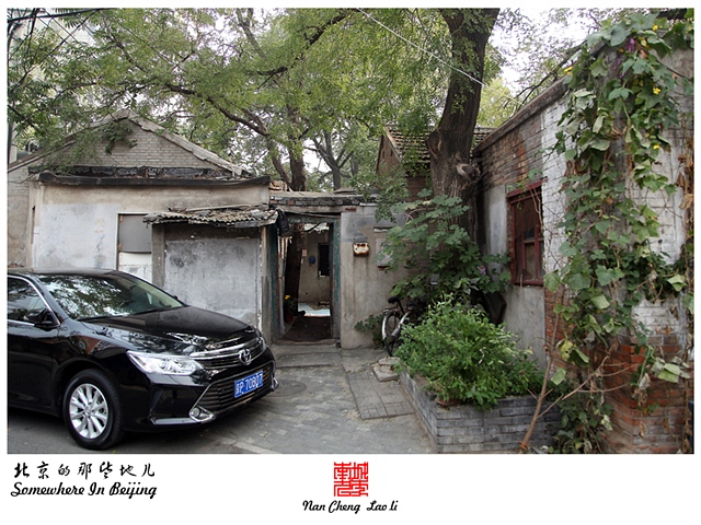 查看更多精彩图片